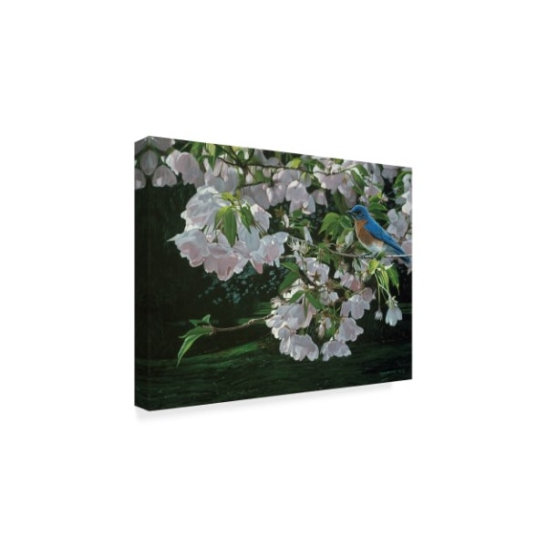 Ron Parker 'Cherry Blossoms' Canvas Art,35x47